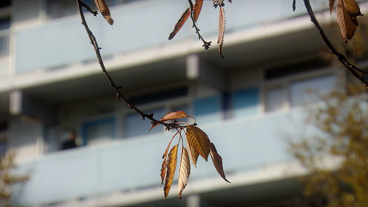 222450_nh_reco2.png