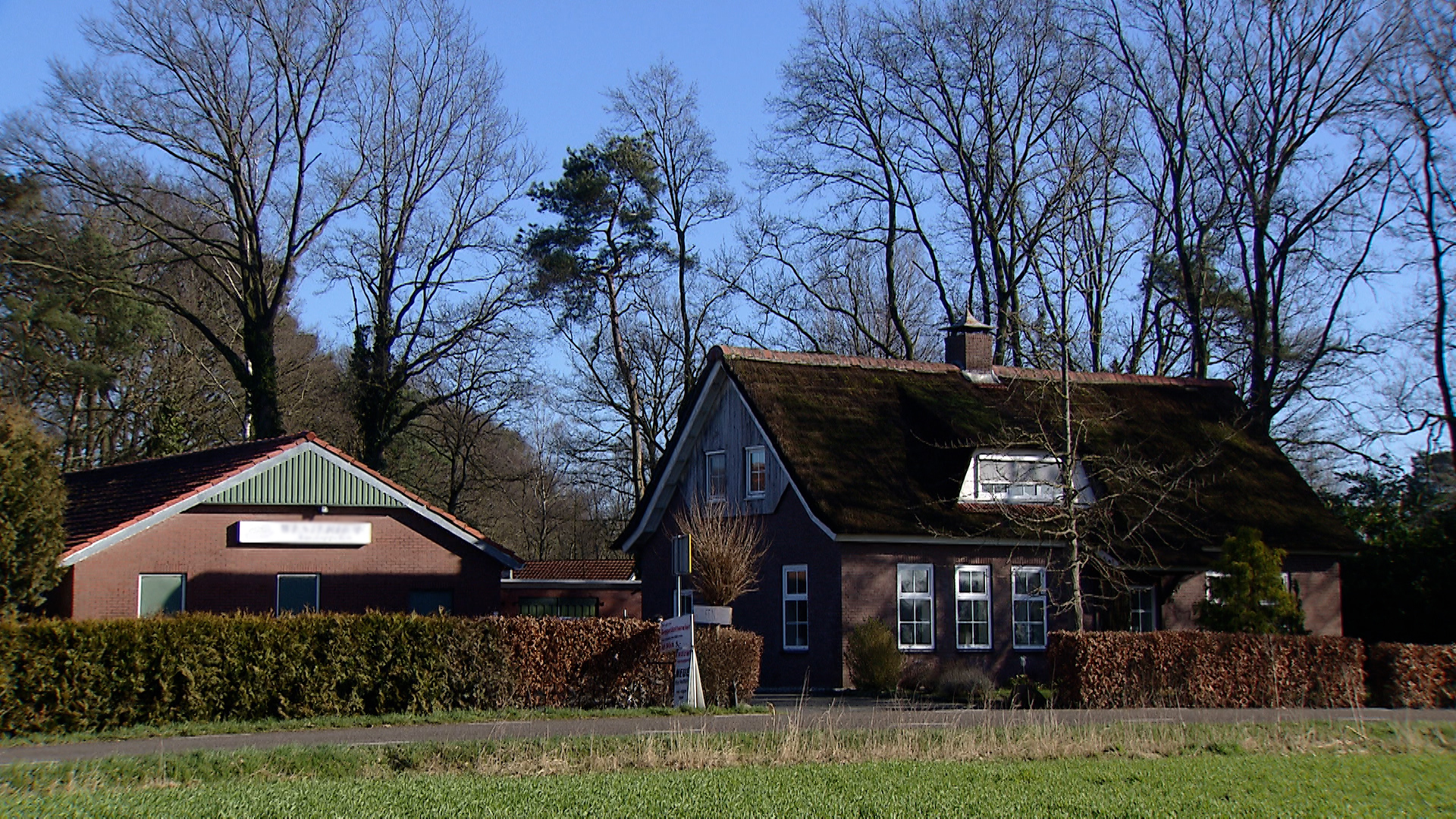 222100_denekamp_pd1a.jpg