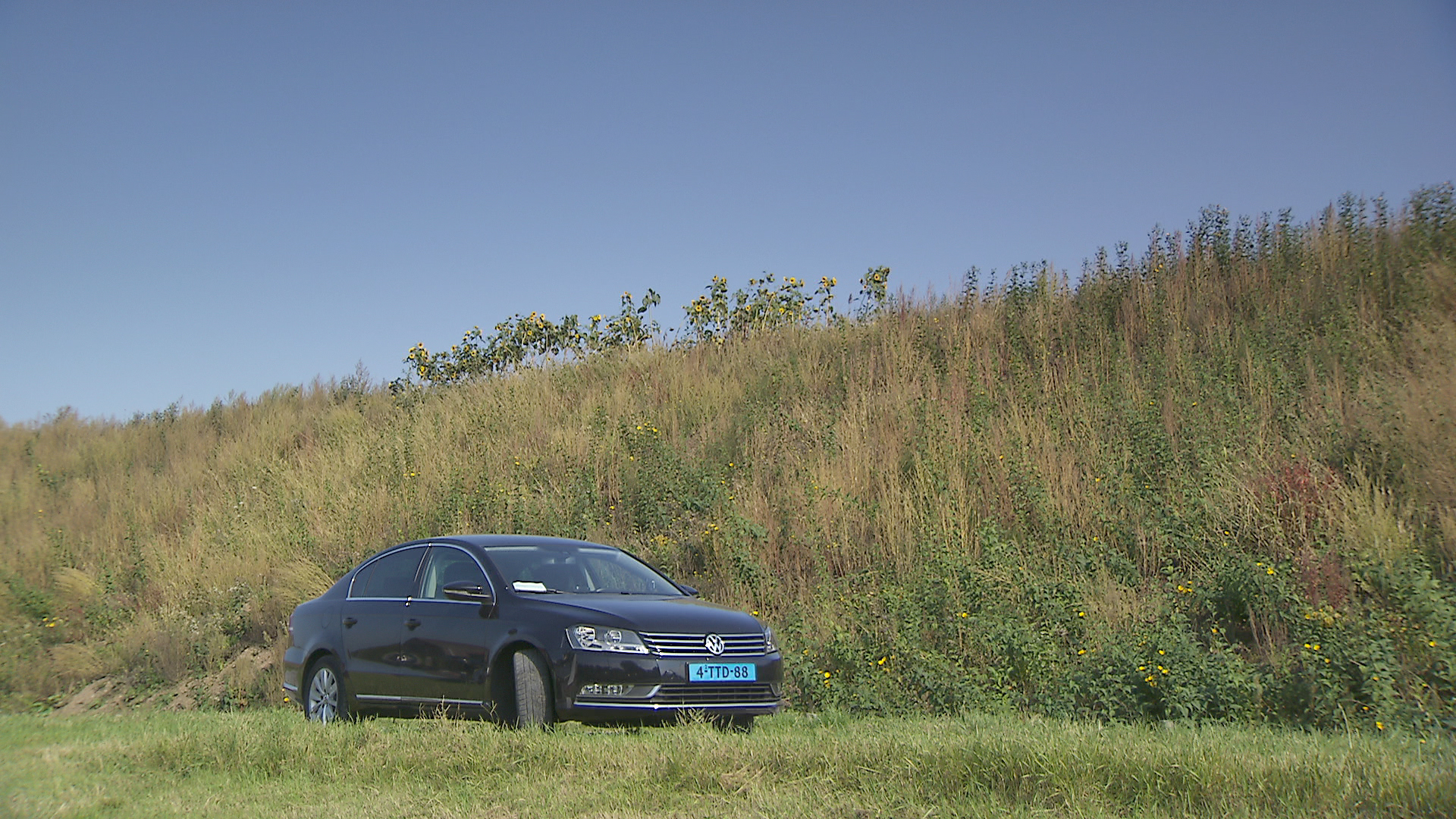 117435_taxi2.jpg