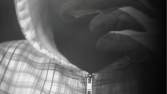 borne_dader_1_tcm8-290904.jpg