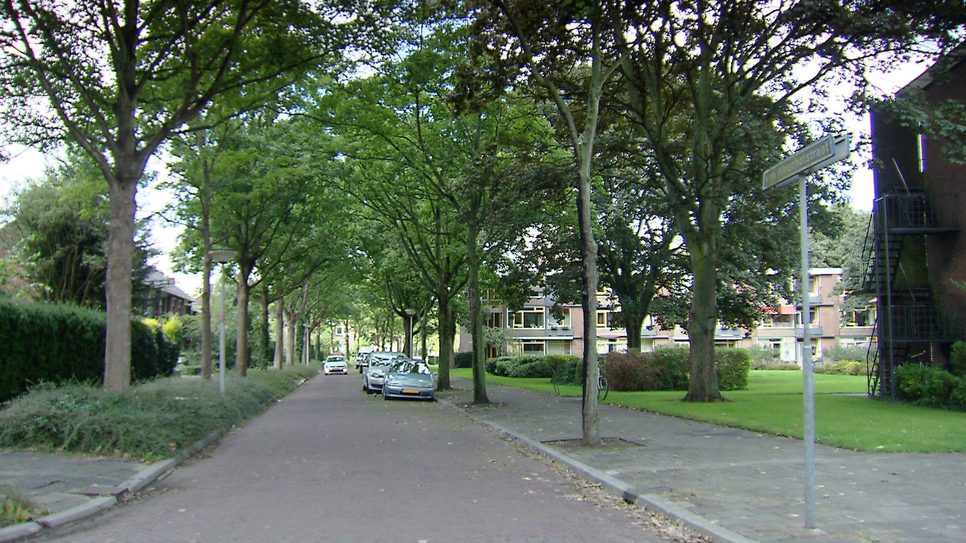 117380_vankinschotstraat.jpg
