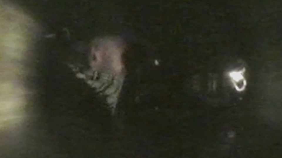 tcm17315005_large.jpg