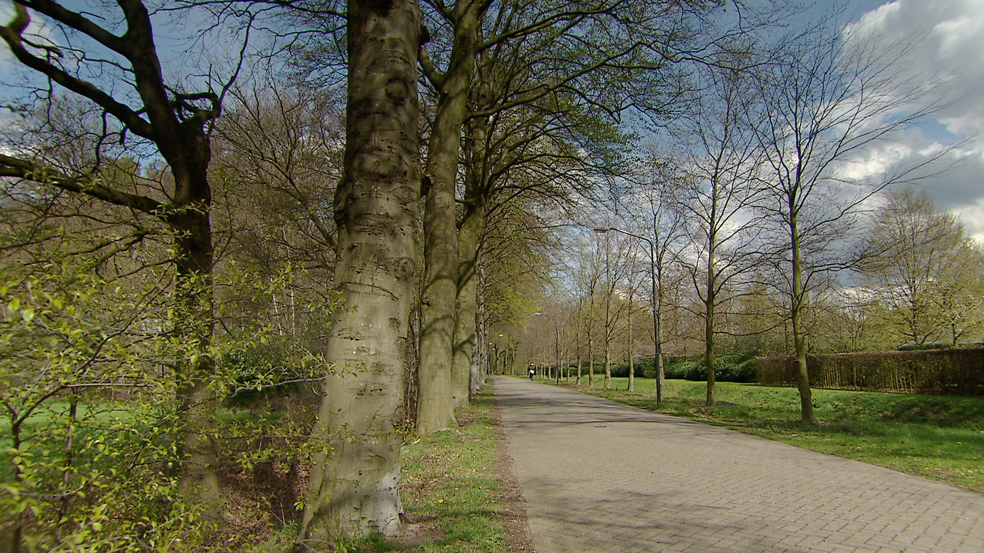 160276_sparrendaalseweg.jpg