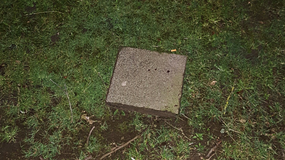 tcm17337731_large.jpg