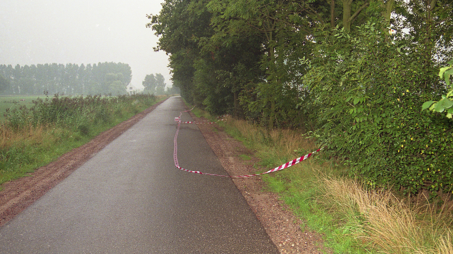 212406_cc-Wies_PD__Toen3.jpg