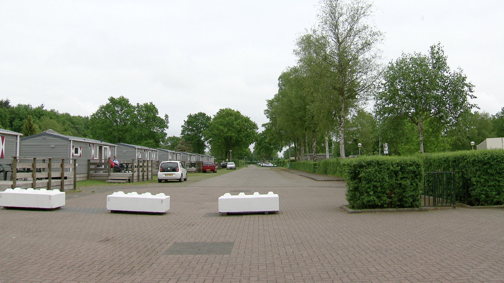 park.jpg