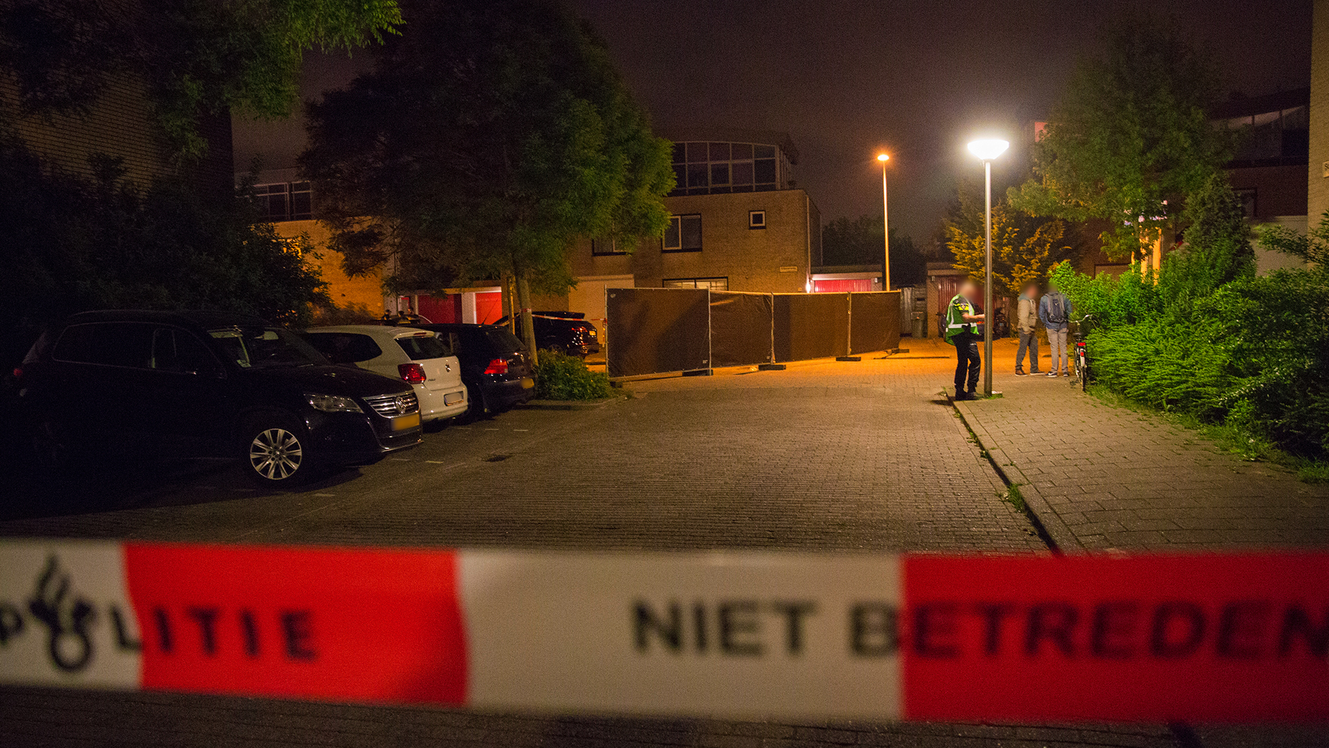 diemen_tr01.jpg