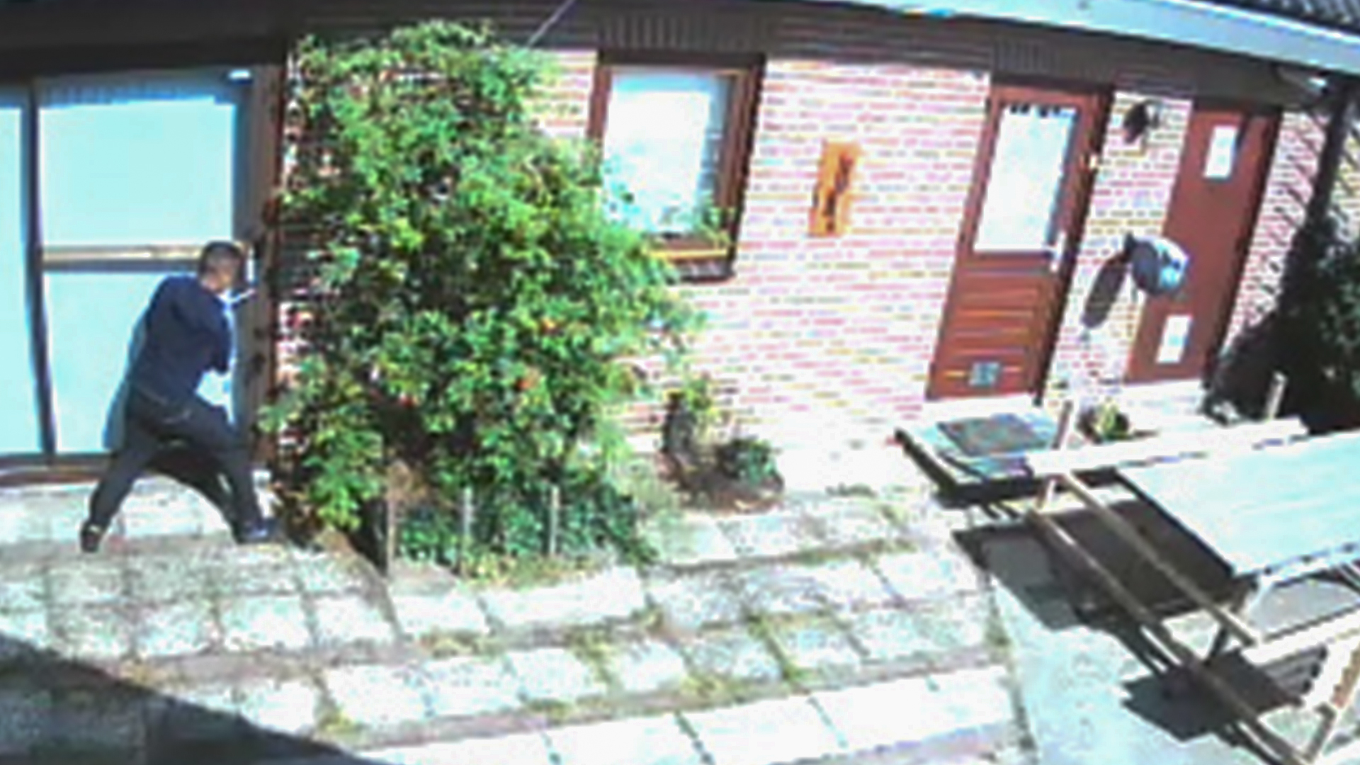117440_dadd2.jpg