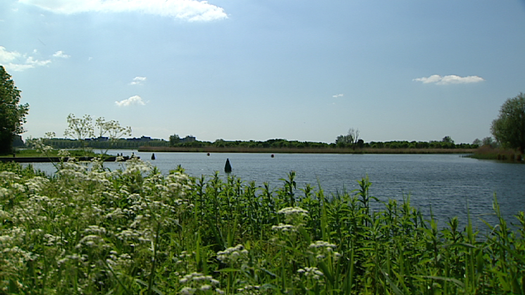 232397_almere_vindplaatsso2.jpg