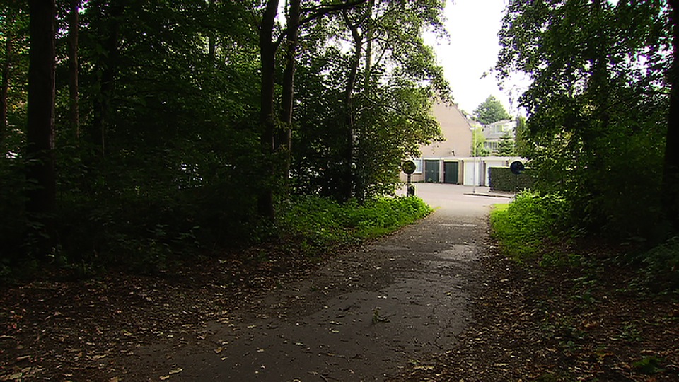 tcm17325635_large.jpg