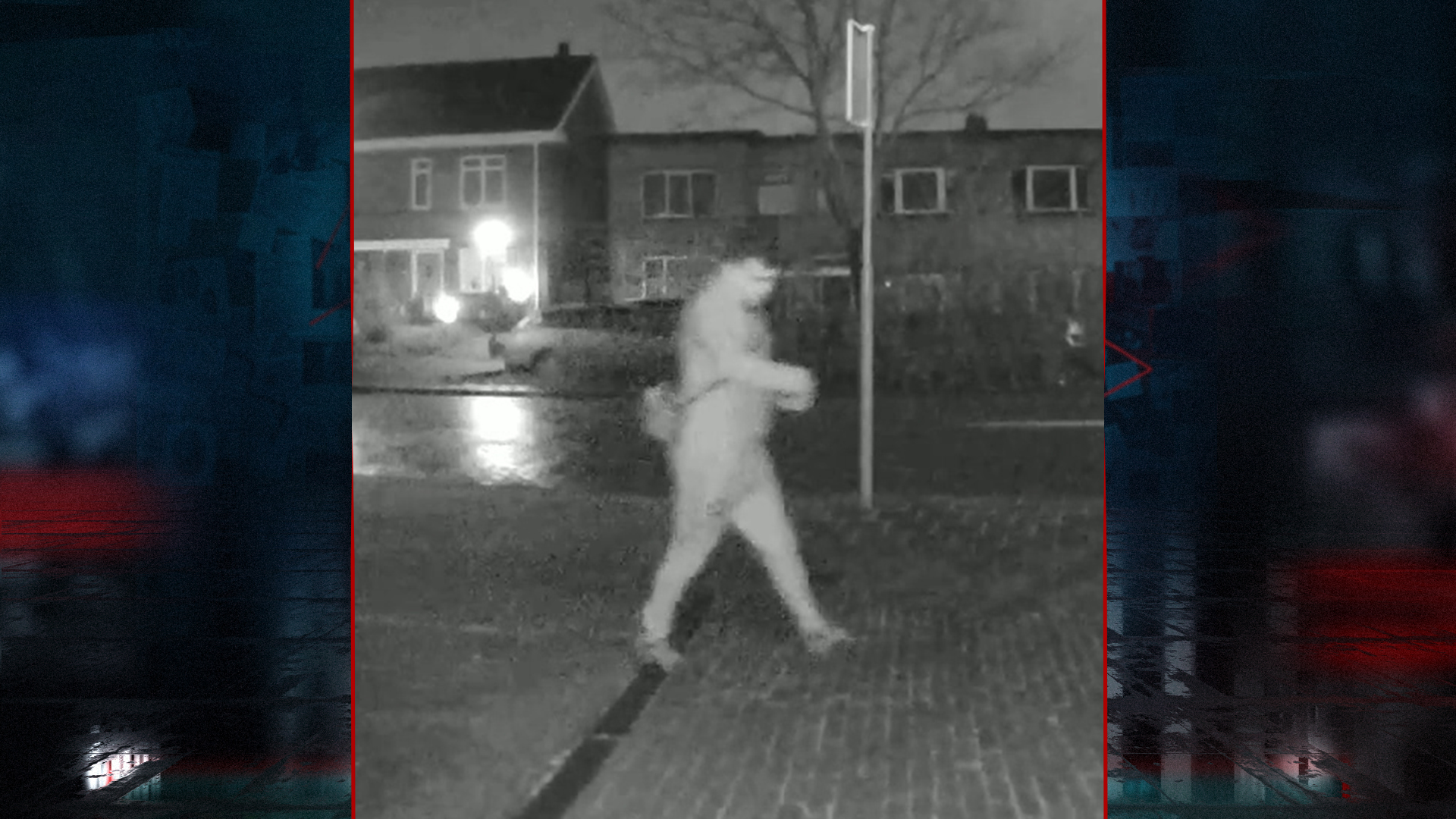 222097_leiden_dada.jpg