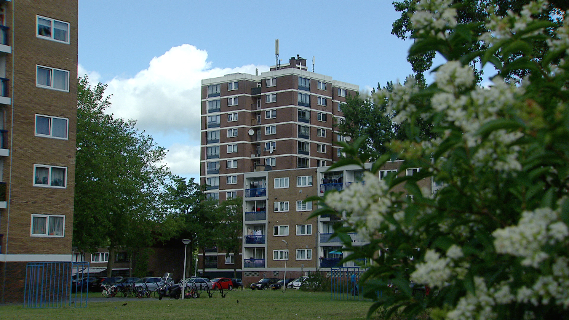 119329_zaandam_pd1.jpg
