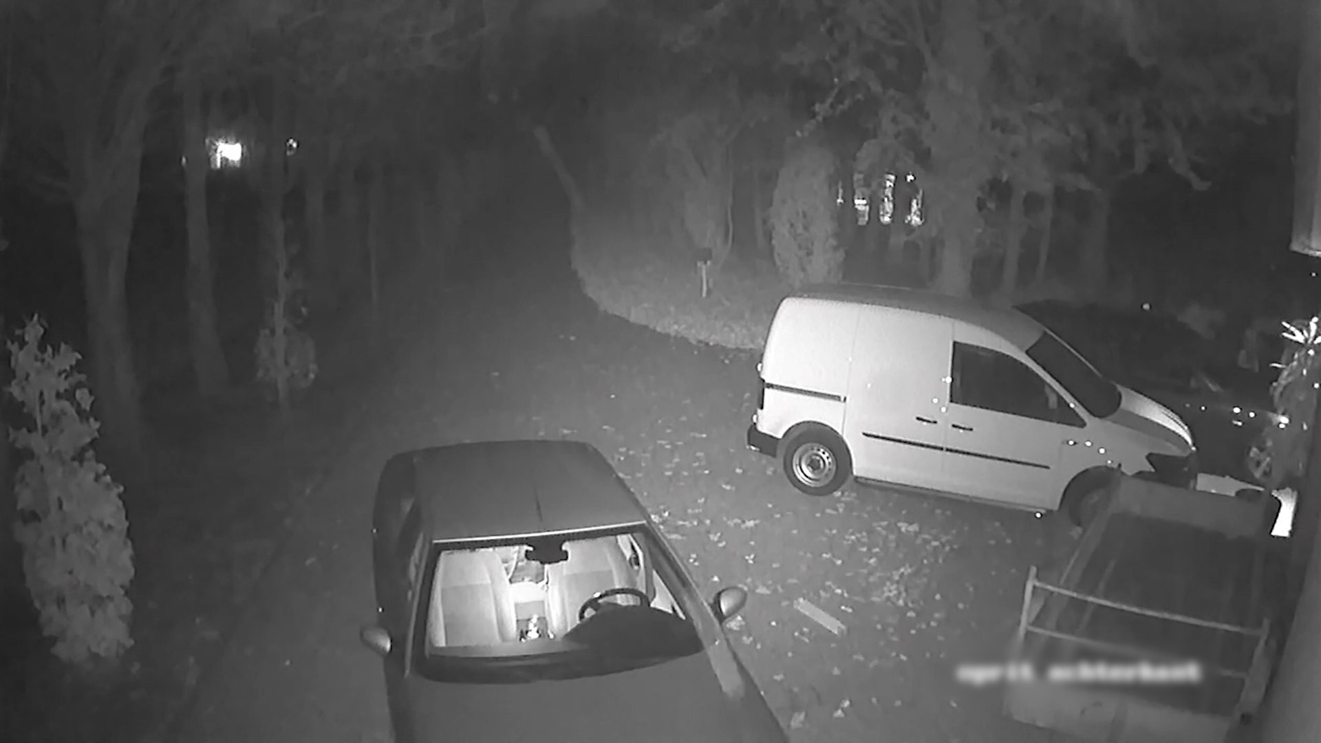 119144_wernht_auto2.jpg