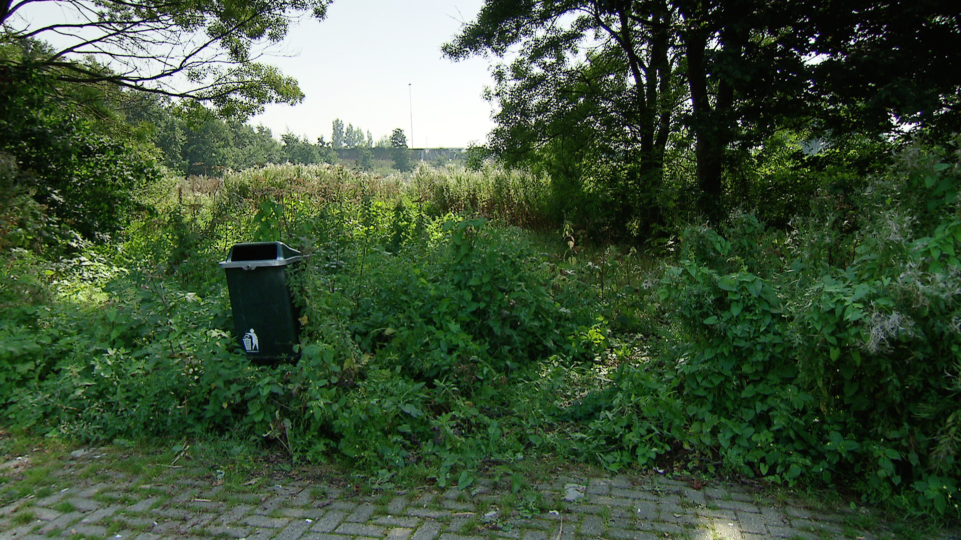 117379_vindplaats.jpg