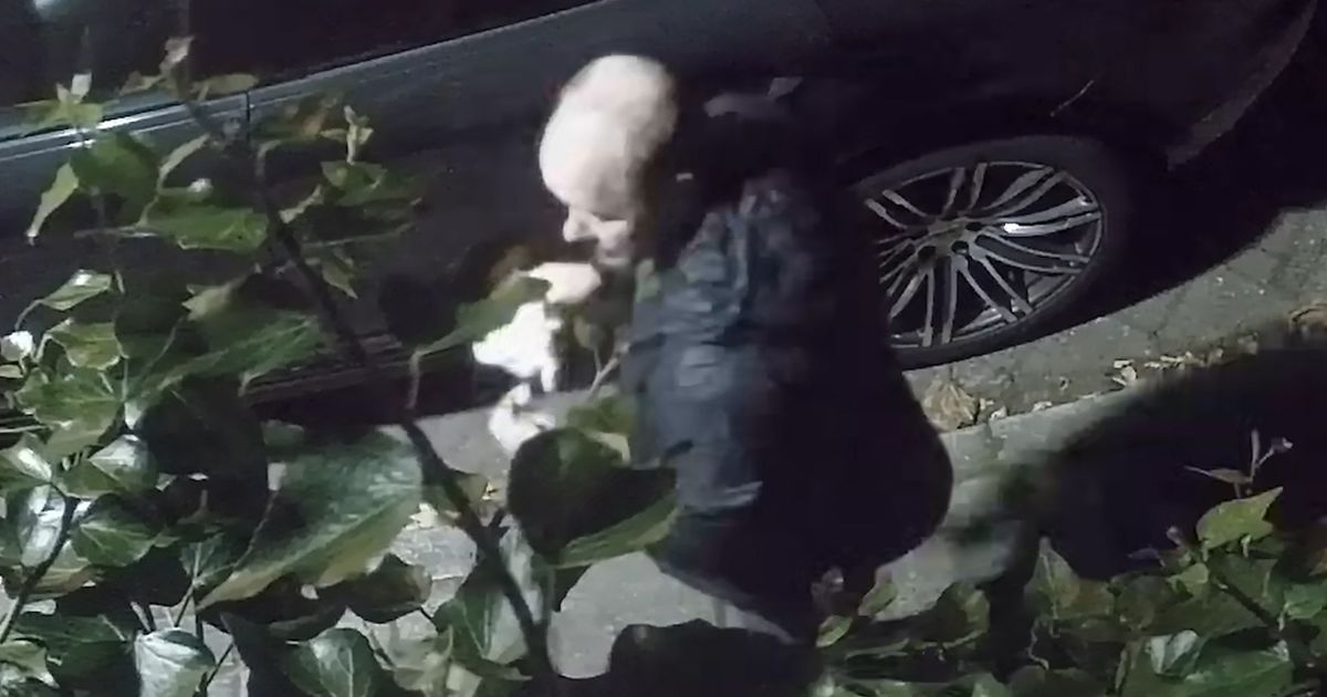 Dieven slopen startmotor uit Porsche