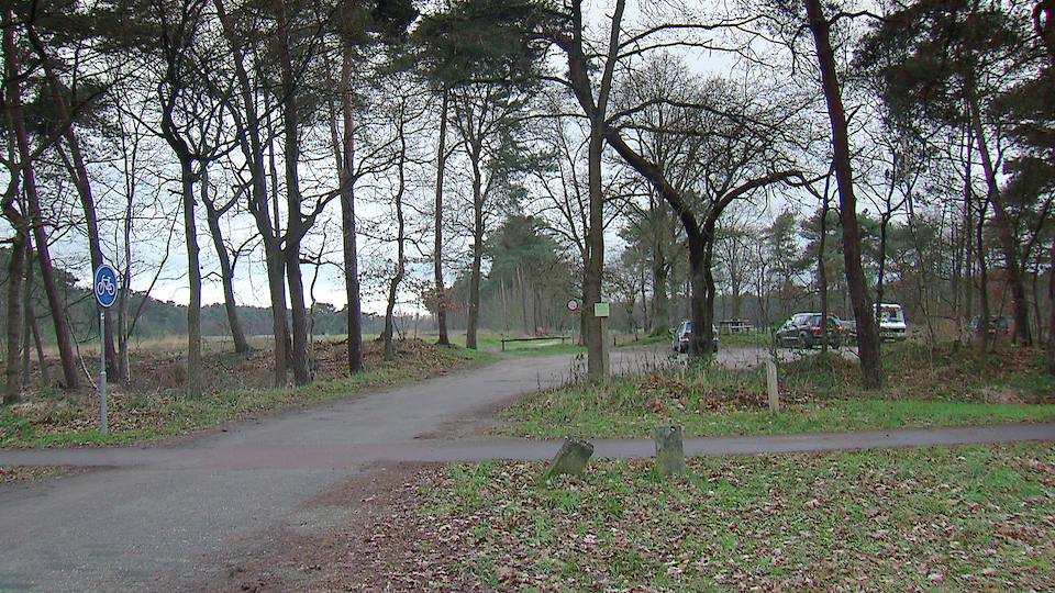tcm17346367_large.jpg